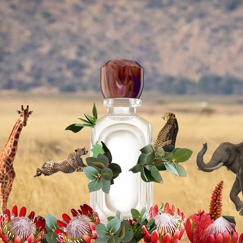 Top 5 South African Perfume